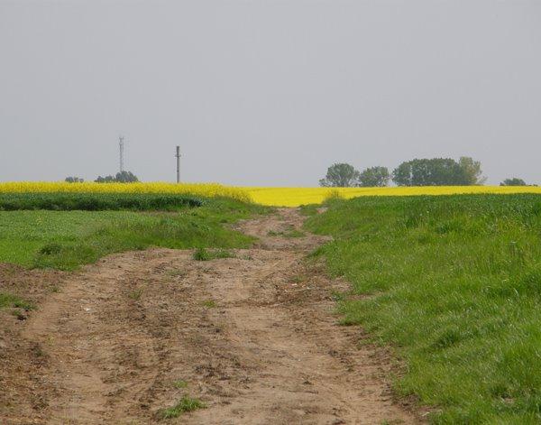 Корчів з panoramio.com - Корчів