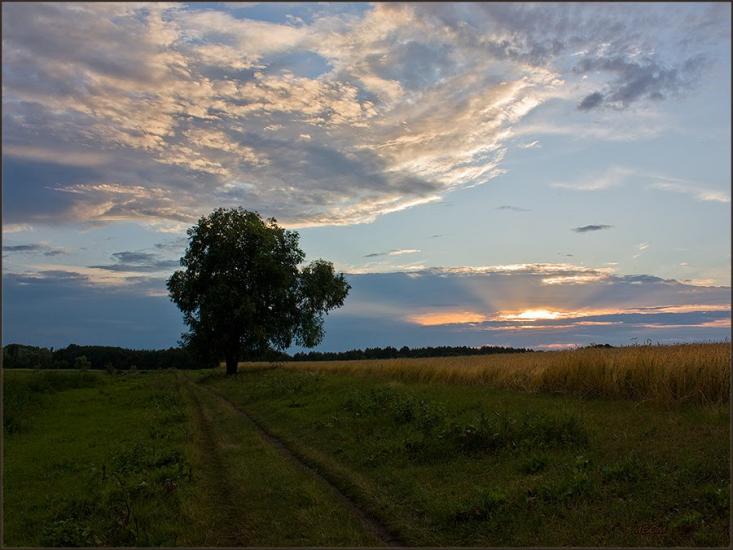 Кривуші з panoramio.com - Кривуши