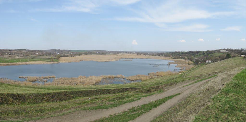 Нова Осота з panoramio.com - Новая Осота