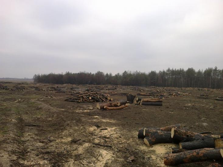 Ряське з panoramio.com - Рясское