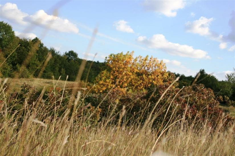 Ярошівка з panoramio.com - Ярошовка