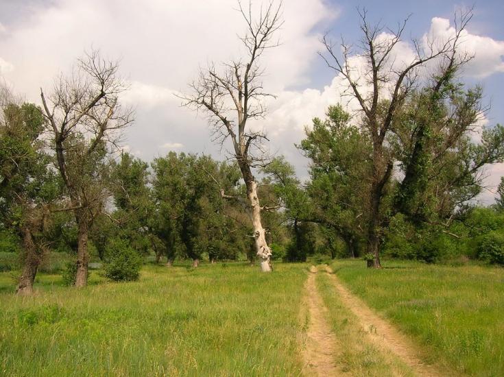 Щастя з panoramio.com - Счастье