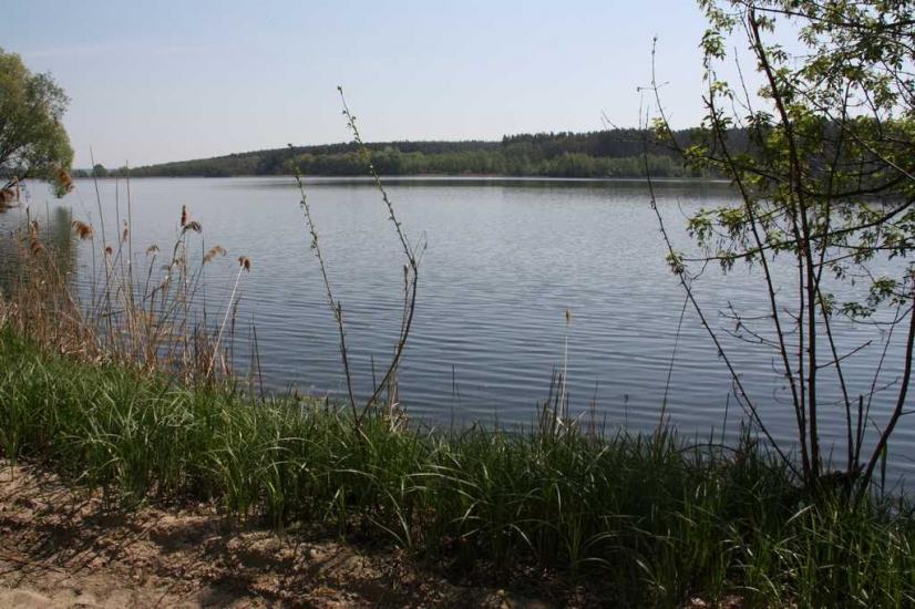 Бобриця з panoramio.com - Бобриця