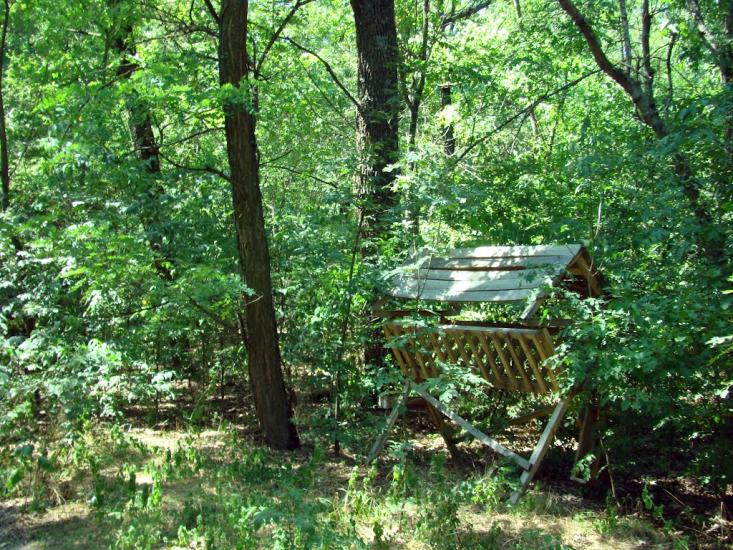 Новопилипівка з panoramio.com - Novopylypivka