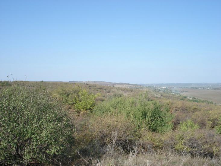 Андрійчикове з panoramio.com - Андрейчиково