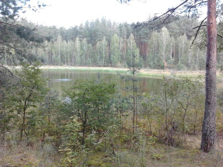 Долина з panoramio.com - Долина