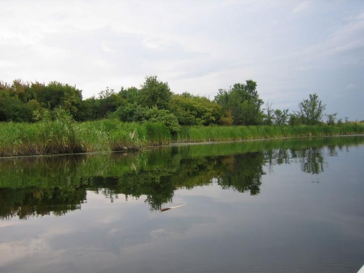 Царичанка з panoramio.com - Царичанка