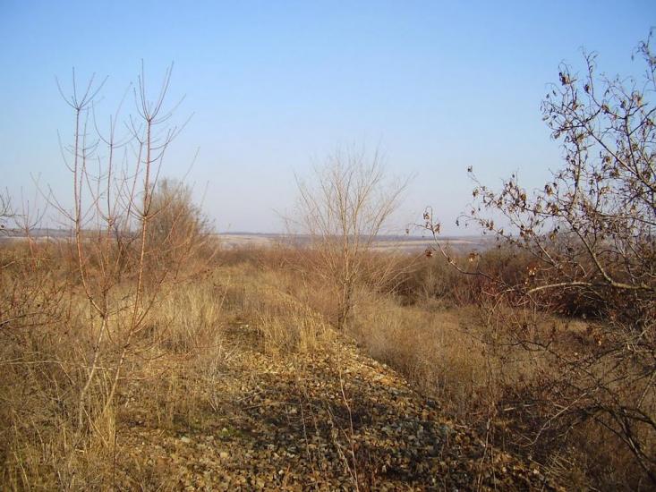 Фрунзе з panoramio.com - Фрунзе