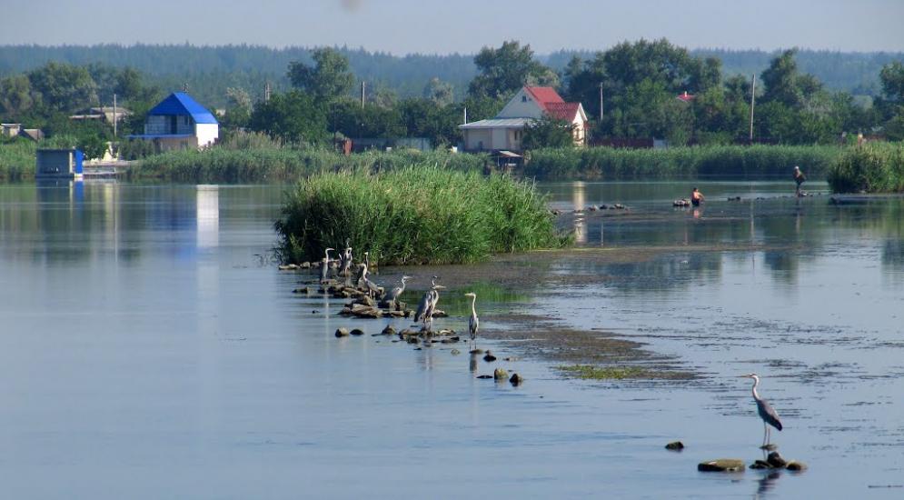 Щастя з panoramio.com - Счастье
