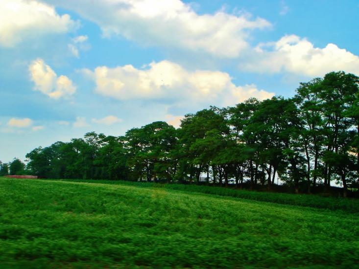 Медвин з panoramio.com - Медвин