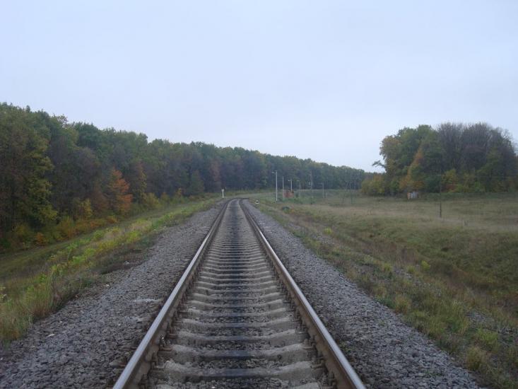 Нижчі Вовківці з panoramio.com - Нижние Волковцы