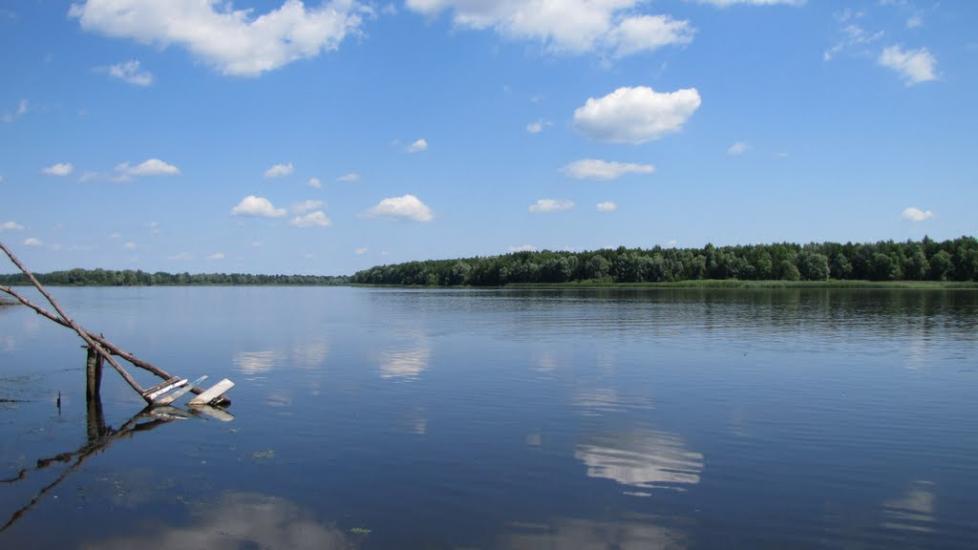 Сорокошичі з panoramio.com - Сорокошичи