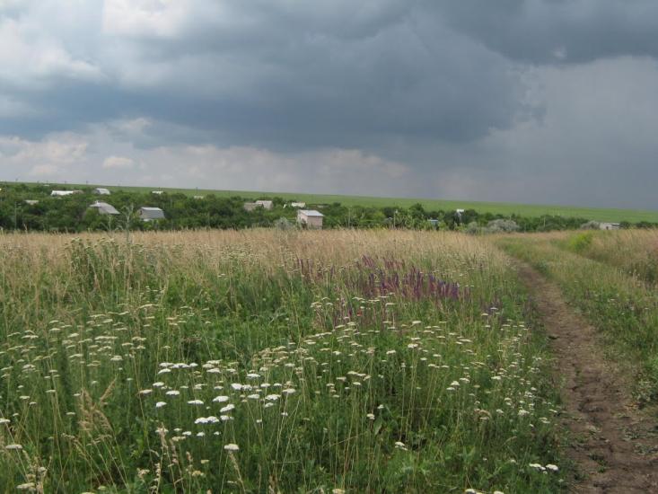 Вакулівка з panoramio.com - Vakulivka