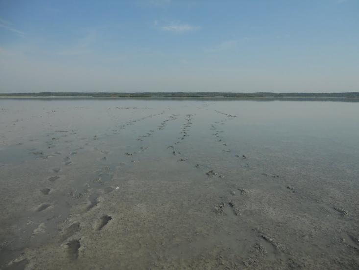 Знаменівка з panoramio.com - Znamenivka