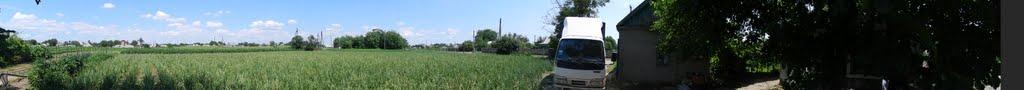 Великі Копані з panoramio.com - Великие Копани