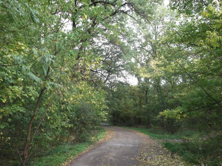 Орлівщина з panoramio.com - Орловщина
