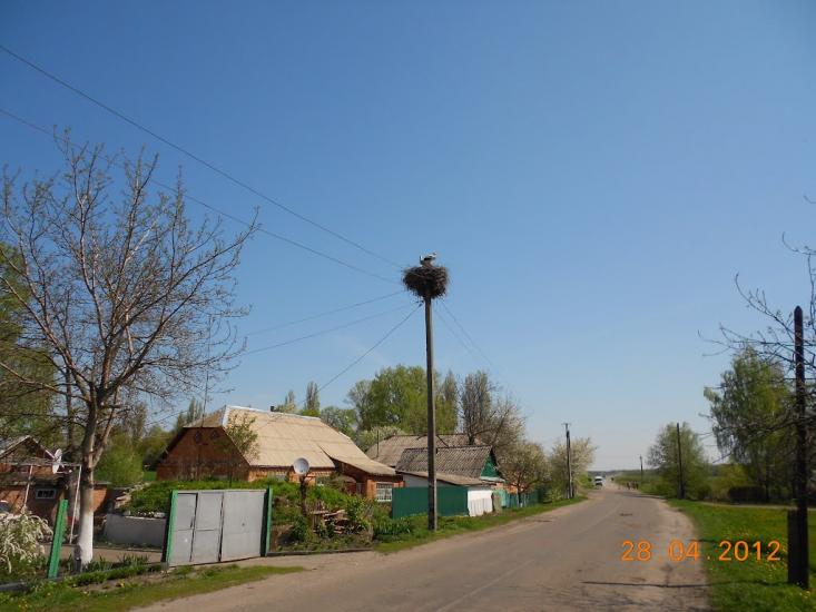 Козятин з panoramio.com - Kozyatyn