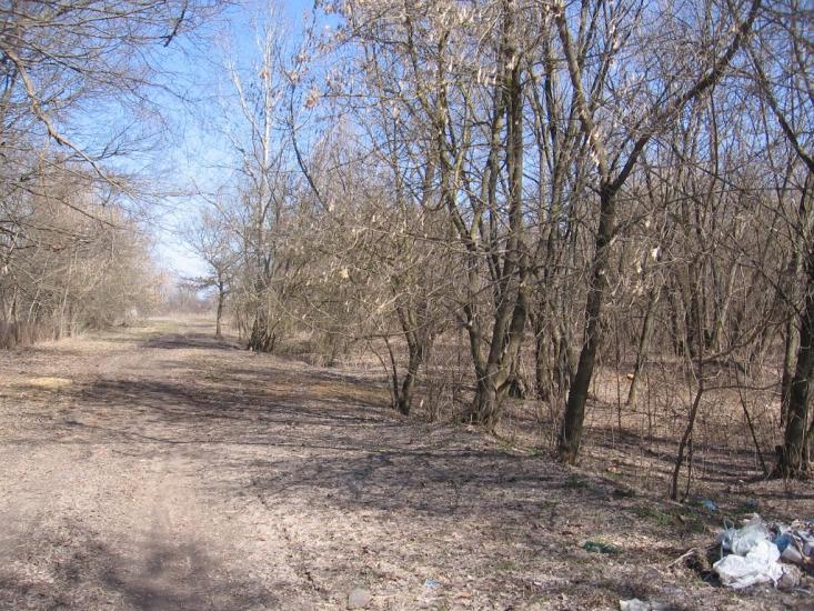 Малинівка з panoramio.com - Малиновка