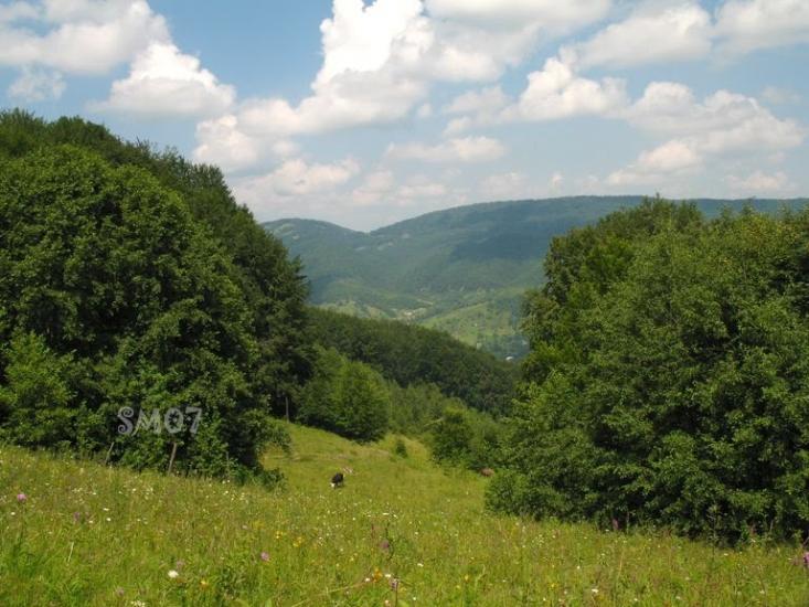 Прокурава з panoramio.com - Прокурава