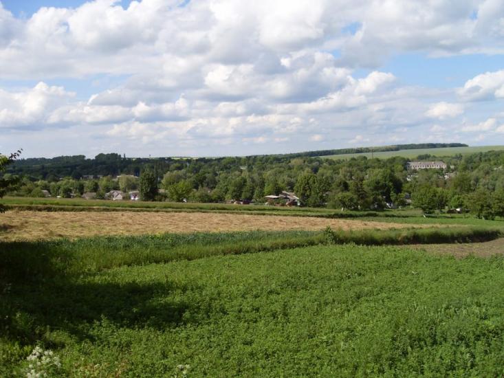 Чернявка з panoramio.com - Чернявка