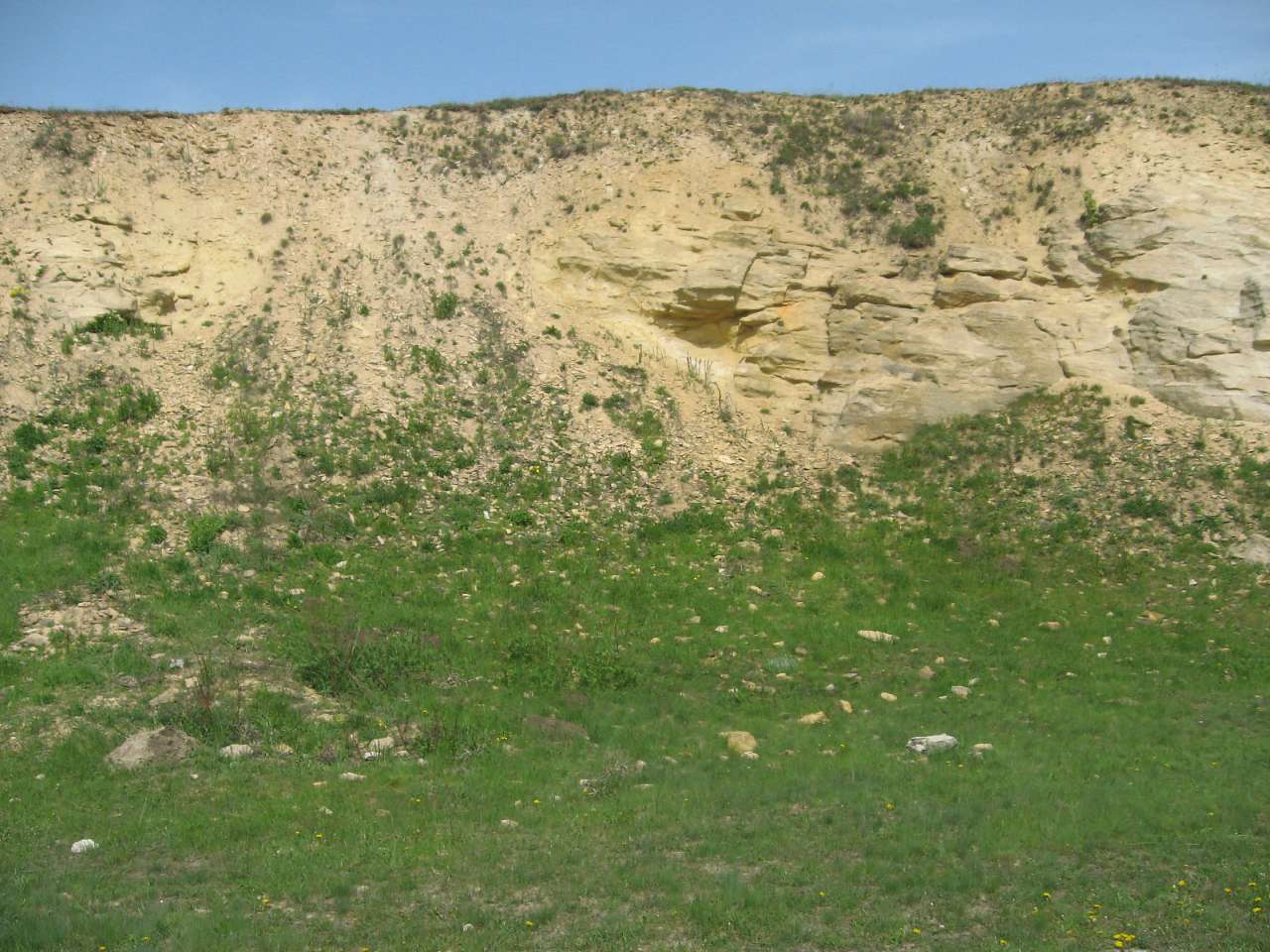 Олександро-Калинове з panoramio.com - Олександро-Калинове
