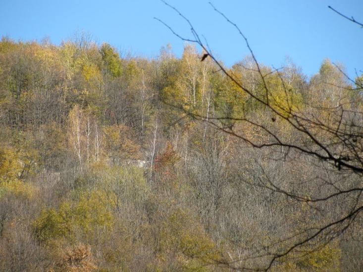 Іванківці з panoramio.com - Иванковцы