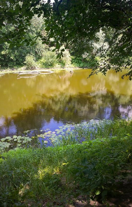 Юрки з panoramio.com - Юрки
