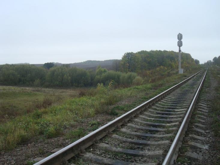 Малиничі з panoramio.com - Малиничи