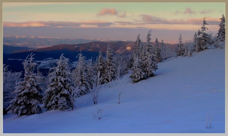 Кам'янка з panoramio.com - Каменка