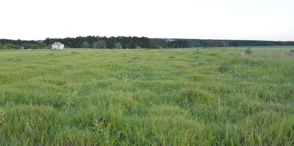 Городецьке з panoramio.com - Gorodetske