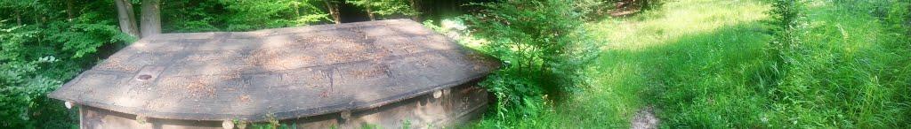 Слов'ятин з panoramio.com - Slovyatyn