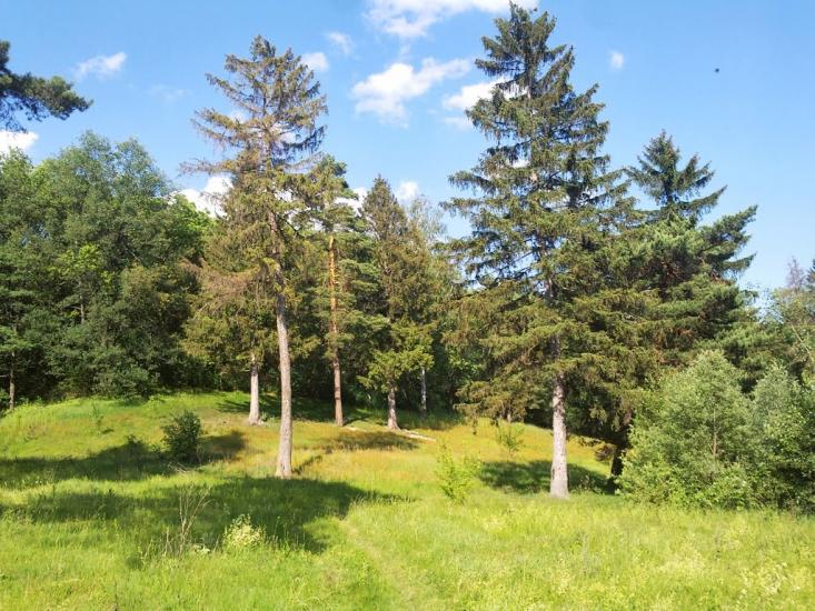 Нова Січ з panoramio.com - Новая Сечь