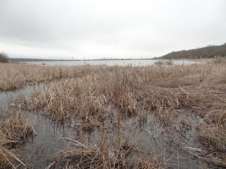 Новобобрівське з panoramio.com - Новобобровское