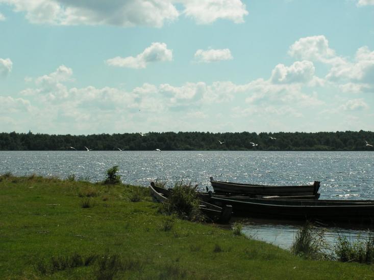 Шацьк з panoramio.com - Шацк