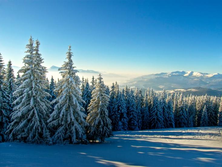 Стебний з panoramio.com - Стебний