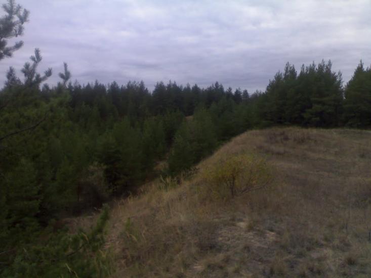 Щастя з panoramio.com - Счастье