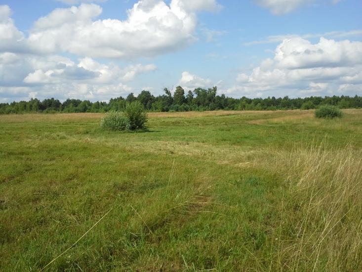 Вирка з panoramio.com - Vyrka
