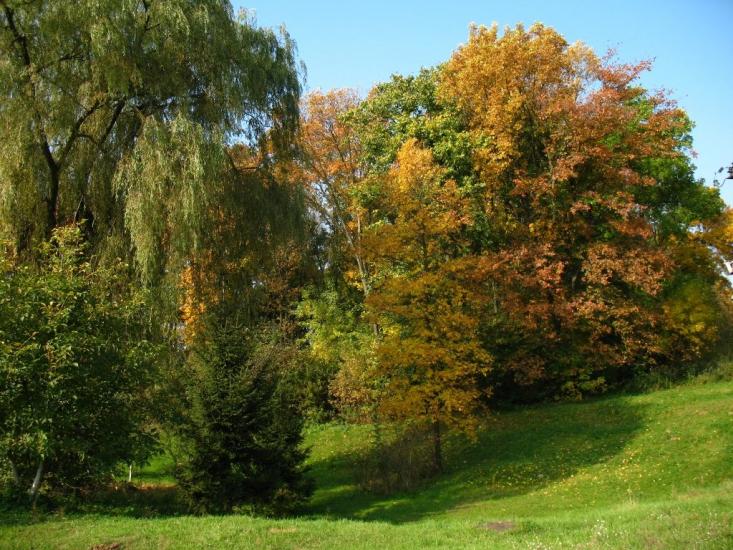 Букачівці з panoramio.com - Bukachivtsi