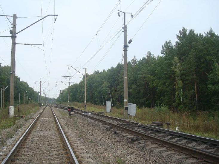 Цвітоха з panoramio.com - Tsvitokha