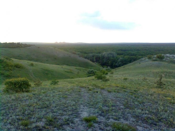 Пискунівка з panoramio.com - Pyskunivka