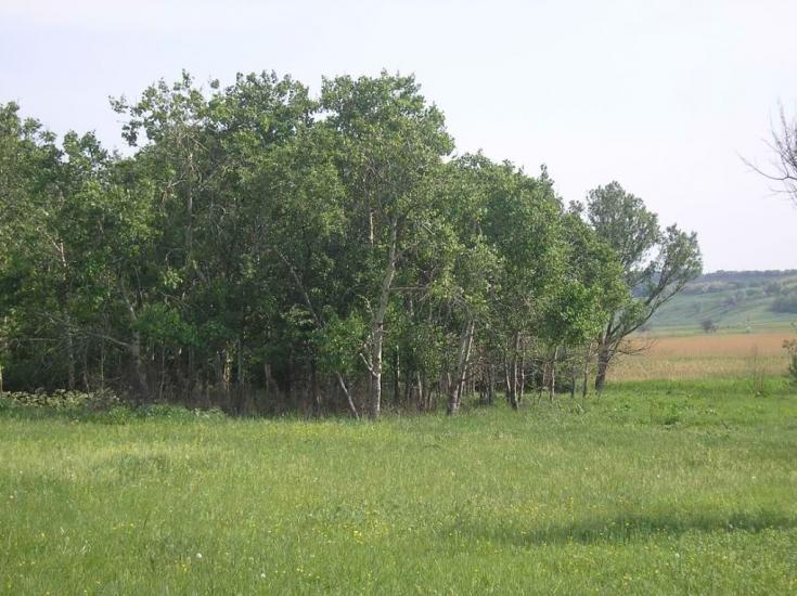 Райгородка з panoramio.com - Raygorodka