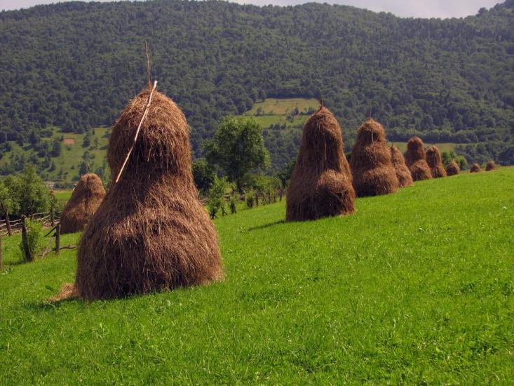 Крушельниця з panoramio.com - Крушельница