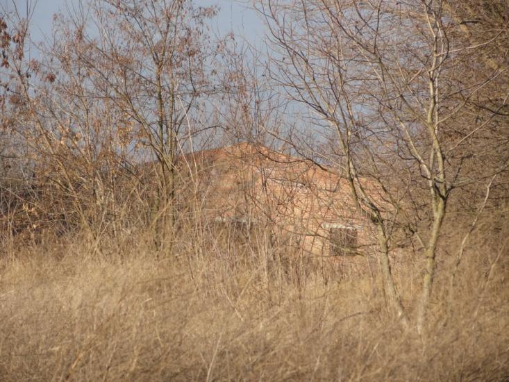 Узин з panoramio.com - Uzyn