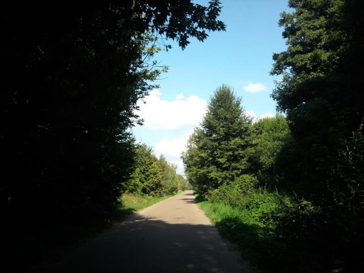 Малинівка з panoramio.com - Малиновка