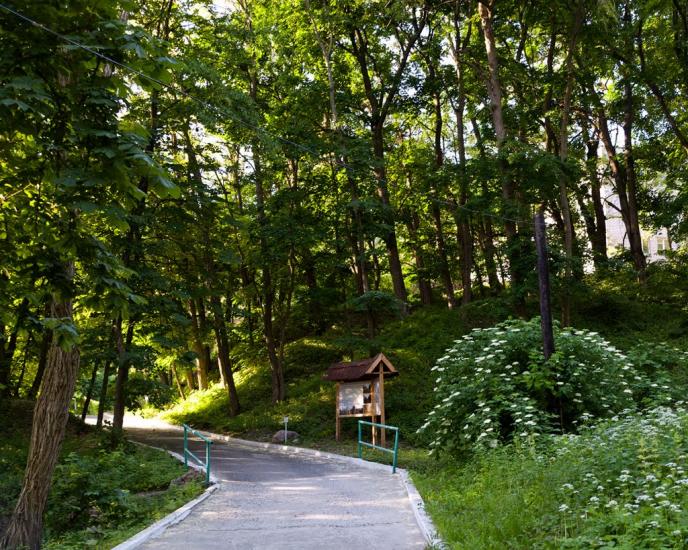 Пекарі з panoramio.com - Пекарі