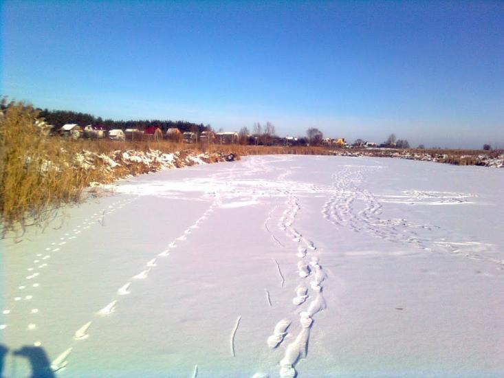 Нижча Дубечня з panoramio.com - Низшая Дубечня