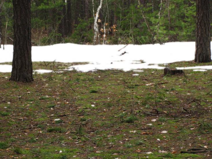 Короп з panoramio.com - Короп