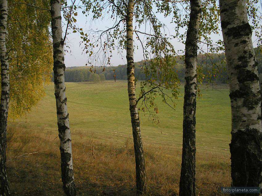 Хотинівка-душі криниця - Хотинівка