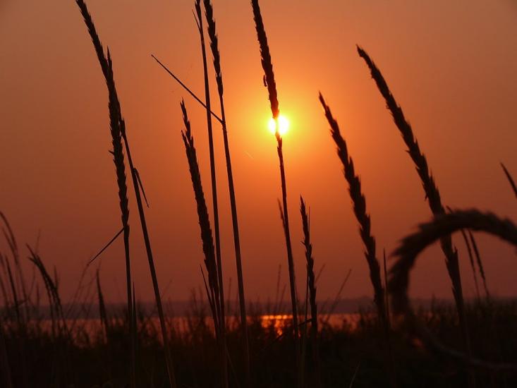 Приморське з panoramio.com - Приморское