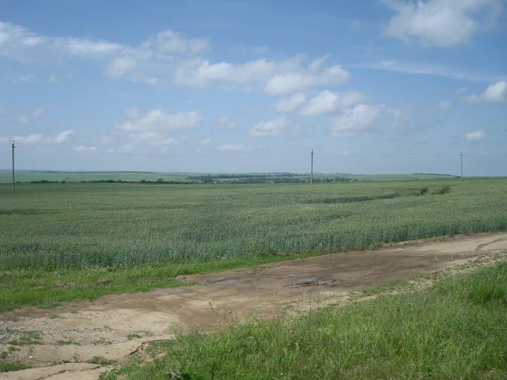 Черепова з panoramio.com - Черепова